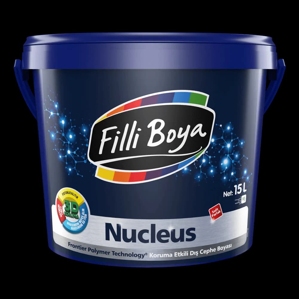 Filli Boya Nucleus